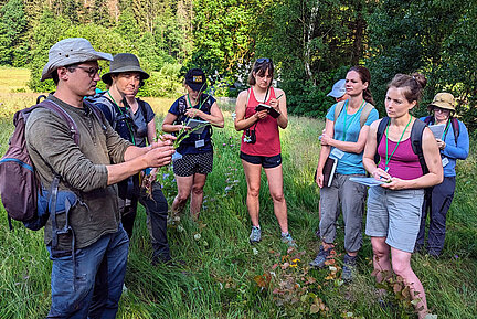 Eine Gruppe Menschen steht draußen im Kreis und beobachtet Gräser. und 