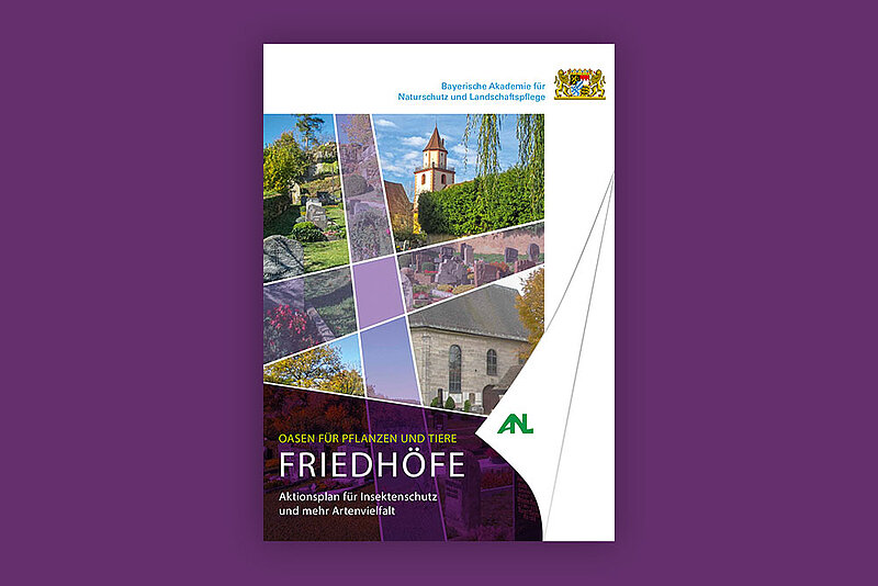 Vorschaubild des Aktionsplans Friedhöfe