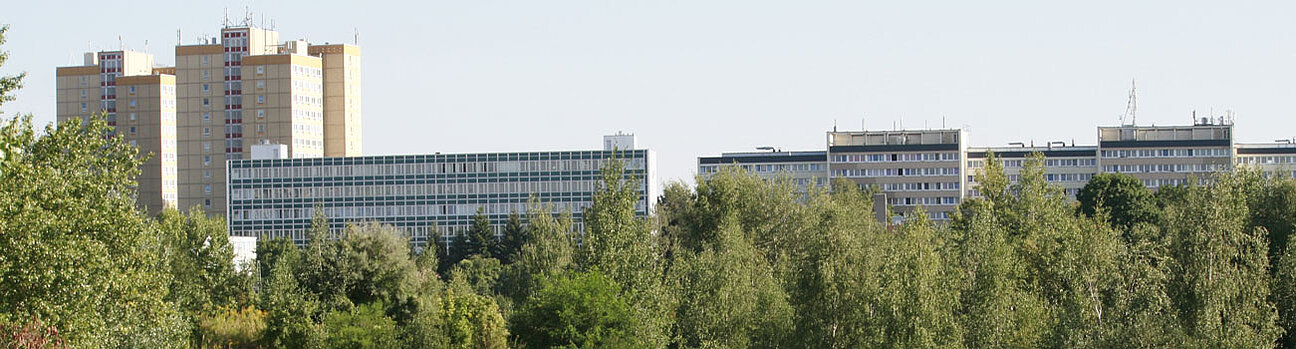Hochhäuser stehen hinter grünen Bäumen