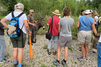 Eine Gruppe umringt in einer Kiesgruben-Fläche den Tierbetreuer und einen Esel und verfolgt aufmerksam die Erläuterungen des Experten.