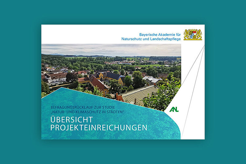 Vorschaubild zur Broschüre Übersicht Projekteinreichungen